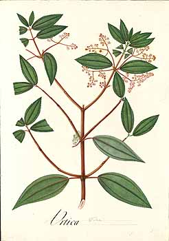 no HD illustration available (4)