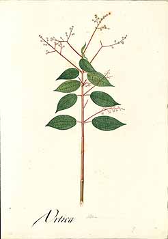 no HD illustration available (4)