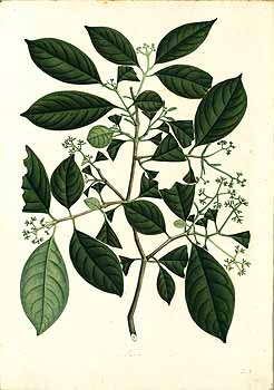 no HD illustration available (4)