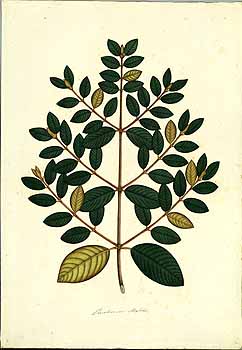 no HD illustration available (4)