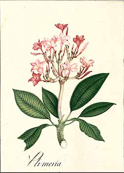 no HD illustration available (4)