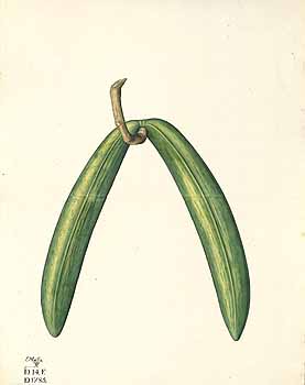 no HD illustration available (4)