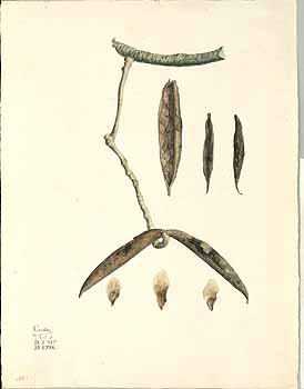 no HD illustration available (4)