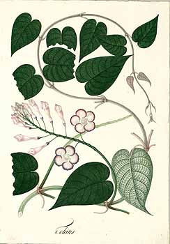 no HD illustration available (4)