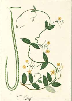 no HD illustration available (4)