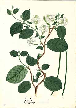 no HD illustration available (4)