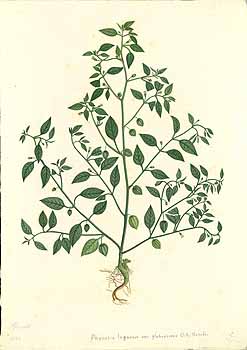 no HD illustration available (4)