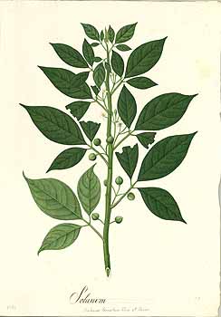 no HD illustration available (4)