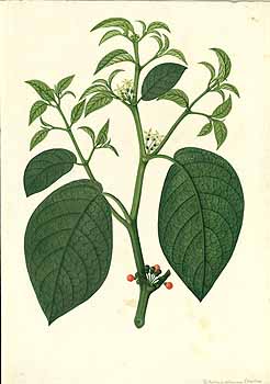 no HD illustration available (4)