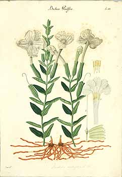 no HD illustration available (4)