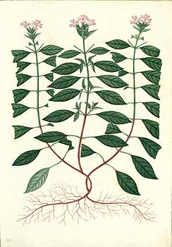 no HD illustration available (4)