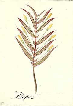 no HD illustration available (4)