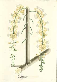 no HD illustration available (4)