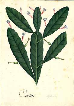 no HD illustration available (4)