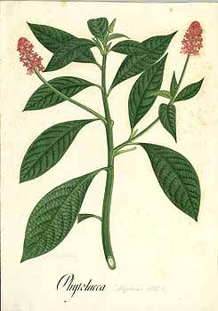 no HD illustration available (4)