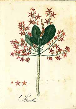 no HD illustration available (4)