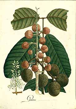 no HD illustration available (4)