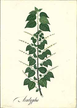 no HD illustration available (4)