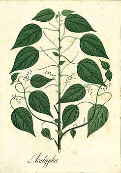 no HD illustration available (4)