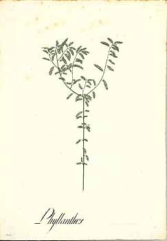 no HD illustration available (4)