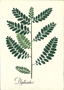 no HD illustration available (4)