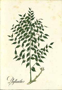 no HD illustration available (4)