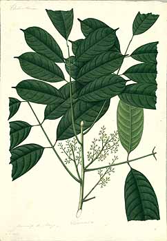 no HD illustration available (4)