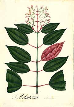 no HD illustration available (4)