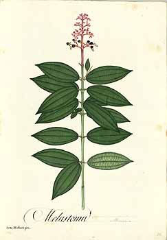 no HD illustration available (4)