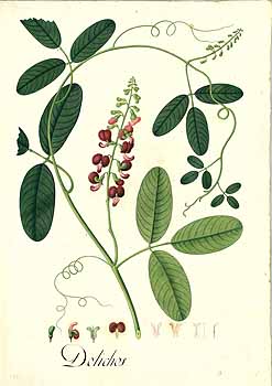 no HD illustration available (4)