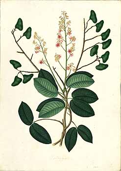 no HD illustration available (4)