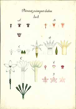 no HD illustration available (4)