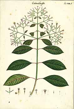 no HD illustration available (4)