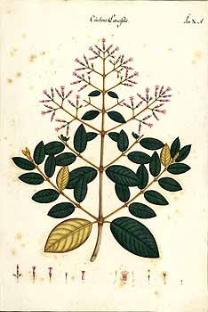 no HD illustration available (4)