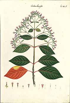 no HD illustration available (4)