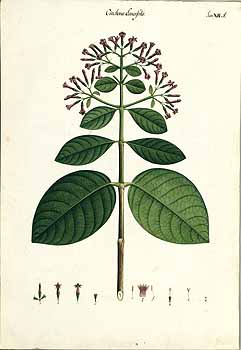 no HD illustration available (4)