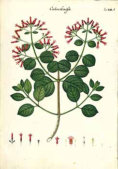 no HD illustration available (4)