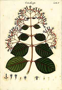 no HD illustration available (4)