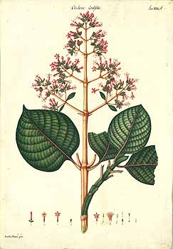 no HD illustration available (4)