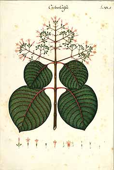 no HD illustration available (4)