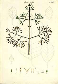 no HD illustration available (4)