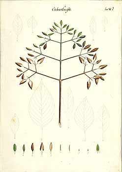 no HD illustration available (4)