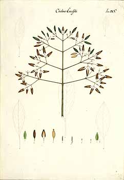 no HD illustration available (4)