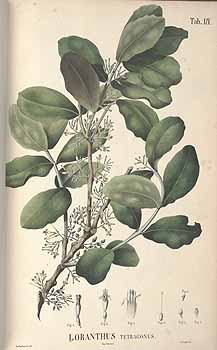 no HD illustration available (4)