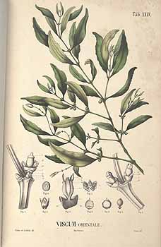 no HD illustration available (4)