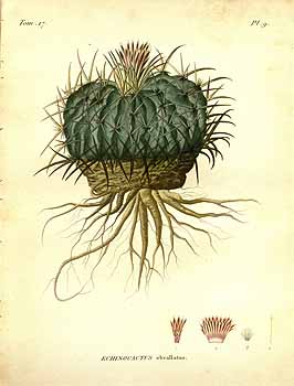 no HD illustration available (4)