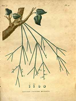 no HD illustration available (4)