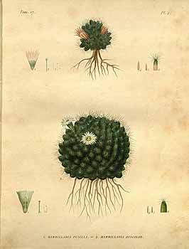 no HD illustration available (4)