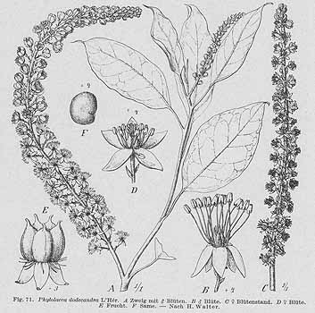 no HD illustration available (4)