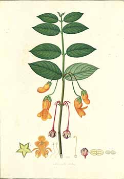 no HD illustration available (4)